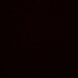 Meet your Posher, Owen